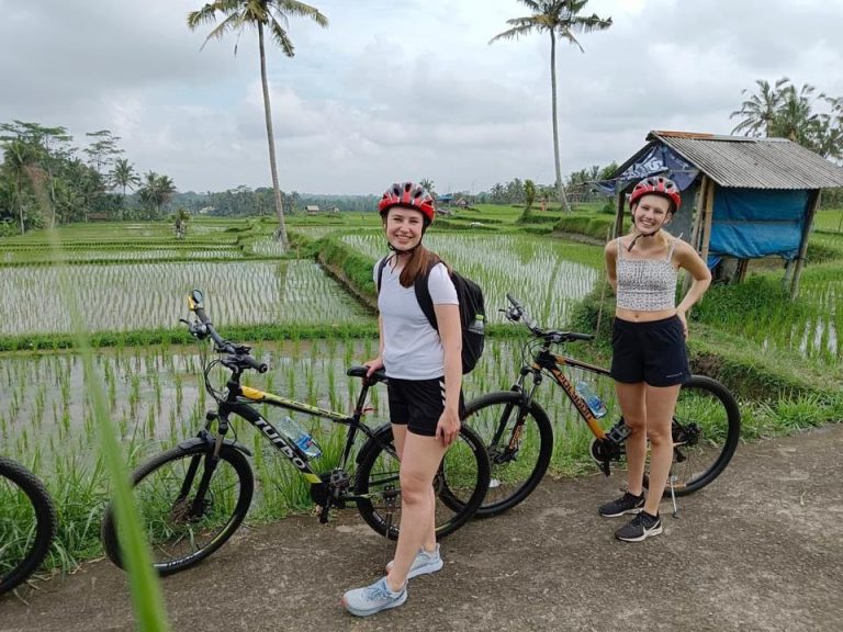 Peaceful rice field view in Bali